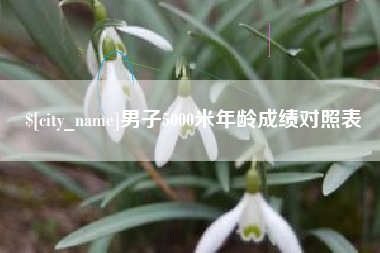 巢湖男子5000米年龄成绩对照表