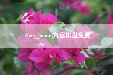 巢湖九宫排盘免费