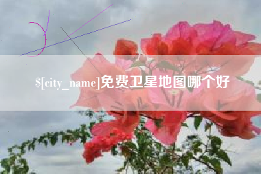 巢湖免费卫星地图哪个好
