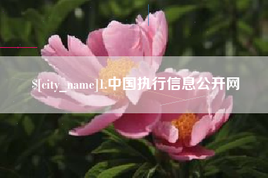 巢湖1.中国执行信息公开网
