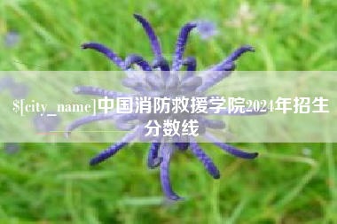 巢湖中国消防救援学院2024年招生分数线