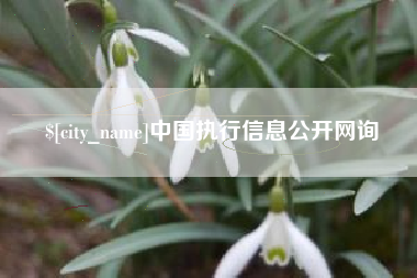 巢湖中国执行信息公开网询