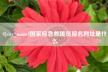 巢湖国家应急救援员报名网址是什么