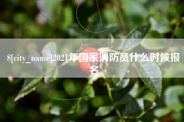 巢湖2021年国家消防员什么时候报名