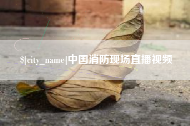 巢湖中国消防现场直播视频