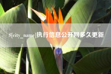 巢湖执行信息公开网多久更新