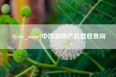 巢湖中国消防产品信息查询