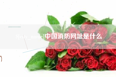 巢湖中国消防网址是什么