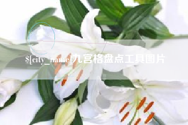 巢湖九宫格盘点工具图片