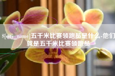 巢湖五千米比赛领跑员是什么-他们就是五千米比赛领跑员