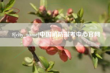 巢湖中国消防报考中心官网