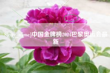 巢湖中国金牌榜2024巴黎奥运会最新