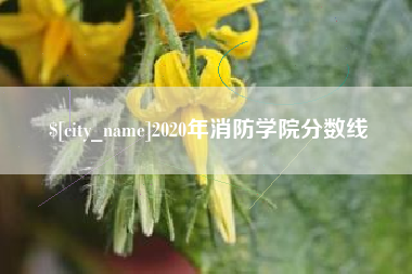巢湖2020年消防学院分数线