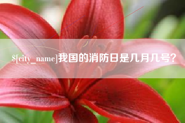 巢湖我国的消防日是几月几号？
