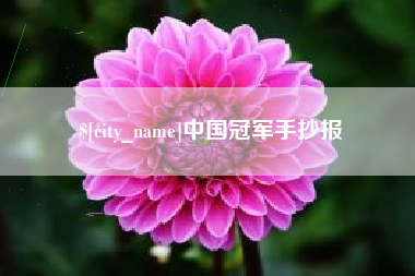 巢湖中国冠军手抄报