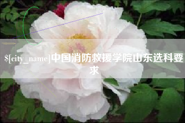 巢湖中国消防救援学院山东选科要求