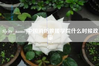 巢湖中国消防救援学院什么时候政审