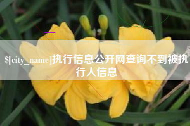 巢湖执行信息公开网查询不到被执行人信息