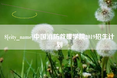 巢湖中国消防救援学院2019招生计划