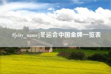 巢湖冬运会中国金牌一览表