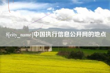 巢湖中国执行信息公开网的地点