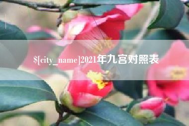 巢湖2021年九宫对照表