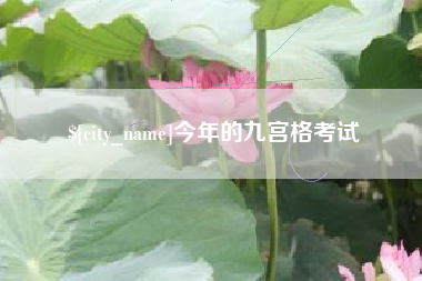 巢湖今年的九宫格考试