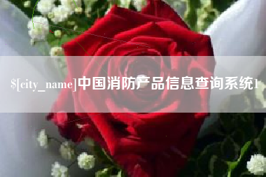 巢湖中国消防产品信息查询系统1