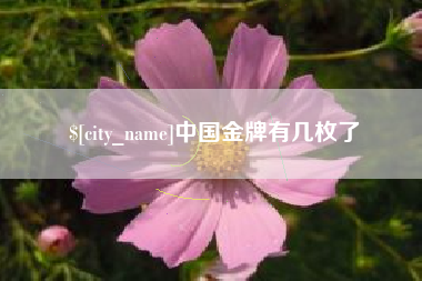巢湖中国金牌有几枚了