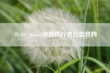 巢湖中国执行执行信息网