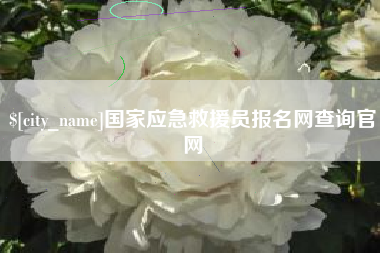 巢湖国家应急救援员报名网查询官网