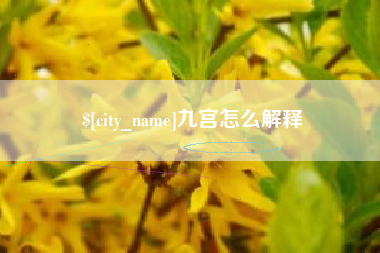 巢湖九宫怎么解释