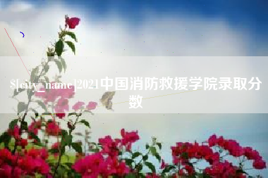 巢湖2021中国消防救援学院录取分数