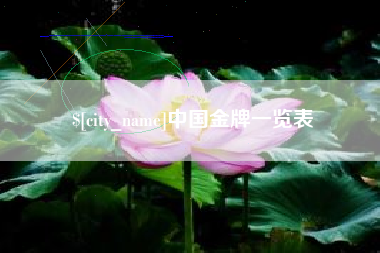 巢湖中国金牌一览表