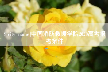 巢湖中国消防救援学院2020高考报考条件