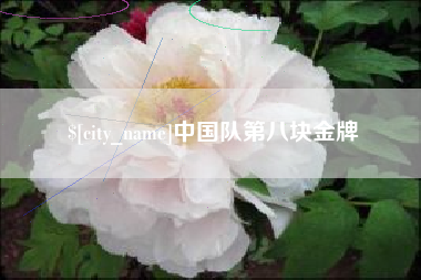 巢湖中国队第八块金牌