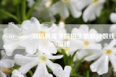 巢湖消防救援学院招生录取分数线2020福建