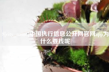 巢湖中国执行信息公开网官网app为什么要钱呢