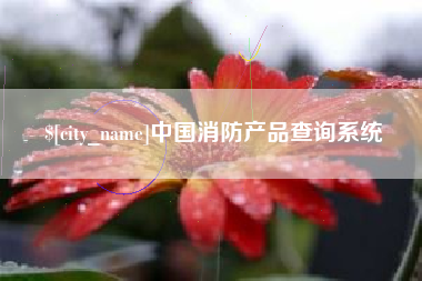 巢湖中国消防产品查询系统