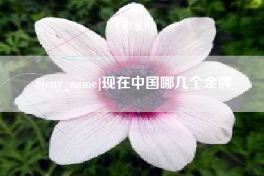 巢湖现在中国哪几个金牌