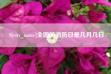 巢湖全国的消防日是几月几日