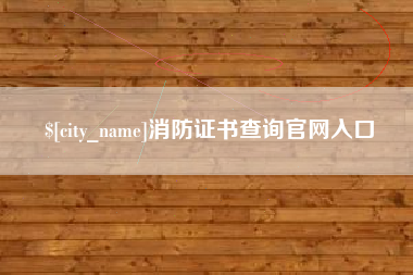 巢湖消防证书查询官网入口