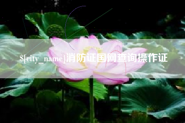 巢湖消防证国网查询操作证