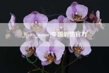 巢湖中国消防官方