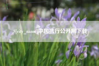 巢湖中国执行公开网下载