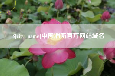 巢湖中国消防官方网站域名