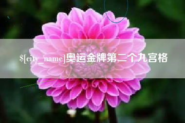 巢湖奥运金牌第二个九宫格