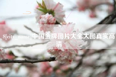 巢湖中国金牌图片大全大图真实高清