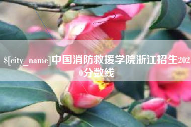 巢湖中国消防救援学院浙江招生2020分数线