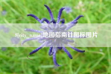 巢湖地图指南针图标图片